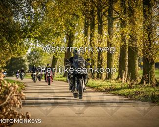 Herfstrit Moerzeke photo