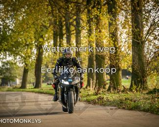 Herfstrit Moerzeke photo