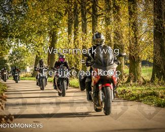 Herfstrit Moerzeke photo