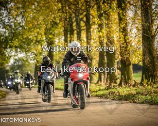 Herfstrit Moerzeke photo