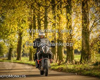 Herfstrit Moerzeke photo