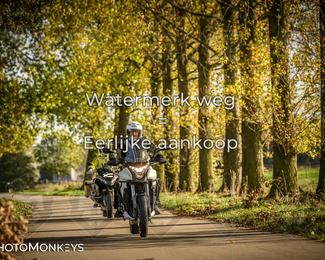 Herfstrit Moerzeke photo