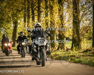 Herfstrit Moerzeke photo