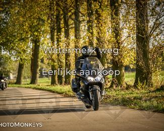 Herfstrit Moerzeke photo