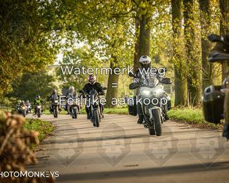 Herfstrit Moerzeke photo