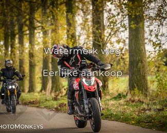 Herfstrit Moerzeke photo