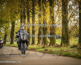 Herfstrit Moerzeke photo