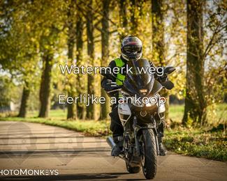 Herfstrit Moerzeke photo