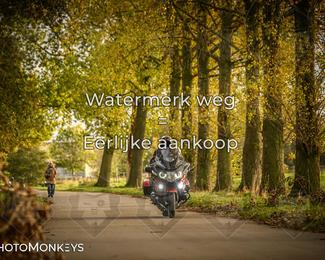 Balade d’automne Moerzeke photo