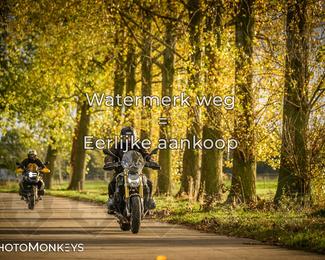 Herfstrit Moerzeke photo