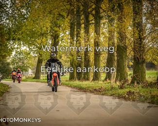 Herfstrit Moerzeke photo