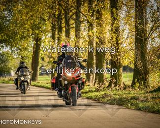 Herfstrit Moerzeke photo