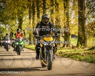 Herfstrit Moerzeke photo