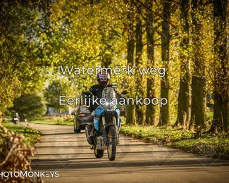 Herfstrit Moerzeke photo