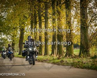 Herfstrit Moerzeke photo