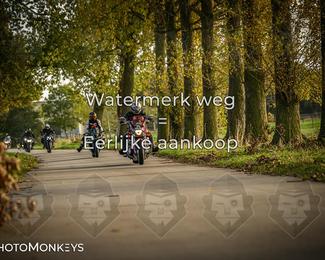 Herfstrit Moerzeke photo