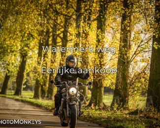 Herfstrit Moerzeke photo