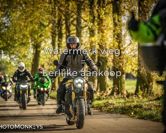 Herfstrit Moerzeke photo