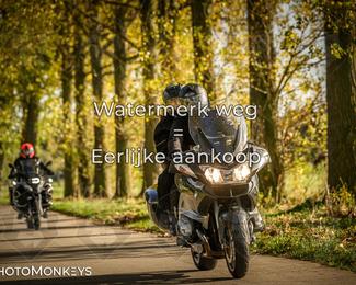 Herfstrit Moerzeke photo