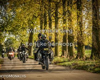 Herfstrit Moerzeke photo