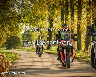 Herfstrit Moerzeke photo