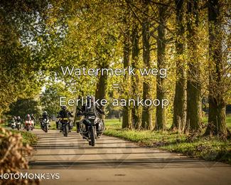 Herfstrit Moerzeke photo