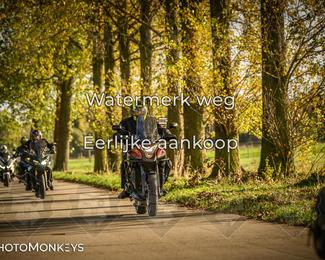 Herfstrit Moerzeke photo