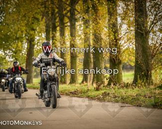 Herfstrit Moerzeke photo