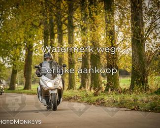 Herfstrit Moerzeke photo