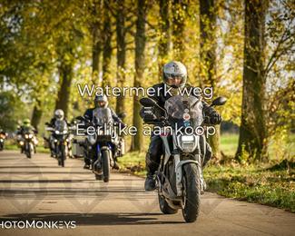 Herfstrit Moerzeke photo