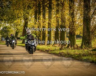 Herfstrit Moerzeke photo