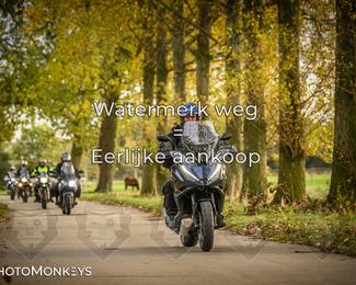 Herfstrit Moerzeke photo