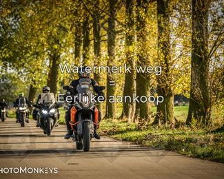 Herfstrit Moerzeke photo