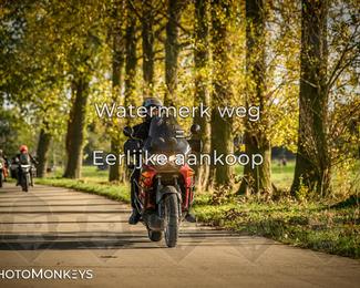 Herfstrit Moerzeke photo