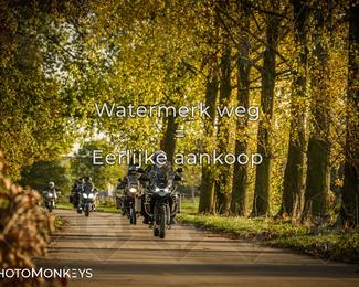 Herfstrit Moerzeke photo