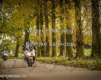 Herfstrit Moerzeke photo