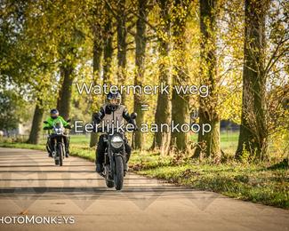 Herfstrit Moerzeke photo