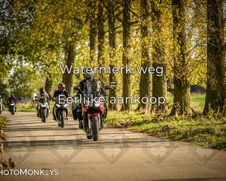 Herfstrit Moerzeke photo