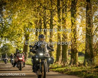 Herfstrit Moerzeke photo