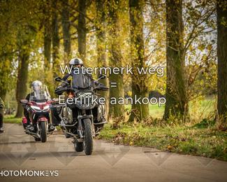 Herfstrit Moerzeke photo