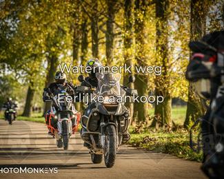 Herfstrit Moerzeke photo