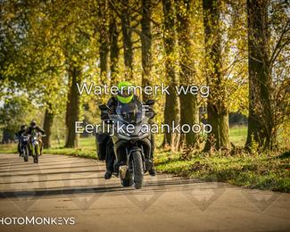 Herfstrit Moerzeke photo