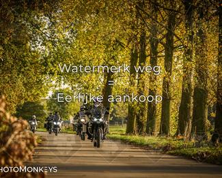 Herfstrit Moerzeke photo