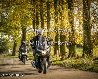 Balade d’automne Moerzeke photo