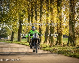 Herfstrit Moerzeke photo