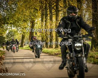 Herfstrit Moerzeke photo