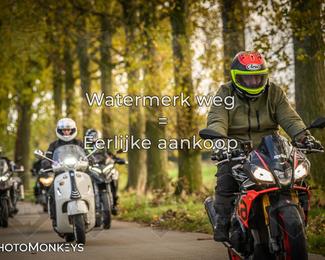 Herfstrit Moerzeke photo