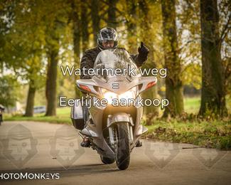 Herfstrit Moerzeke photo