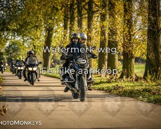 Herfstrit Moerzeke photo