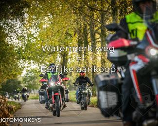 Herfstrit Moerzeke photo